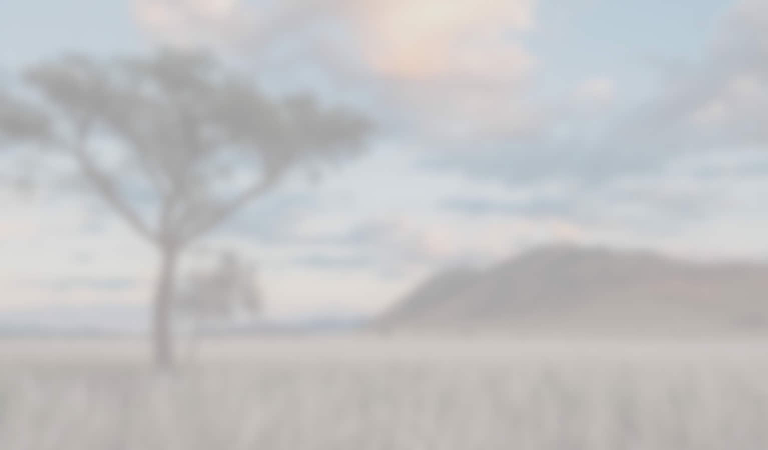 phone background b
